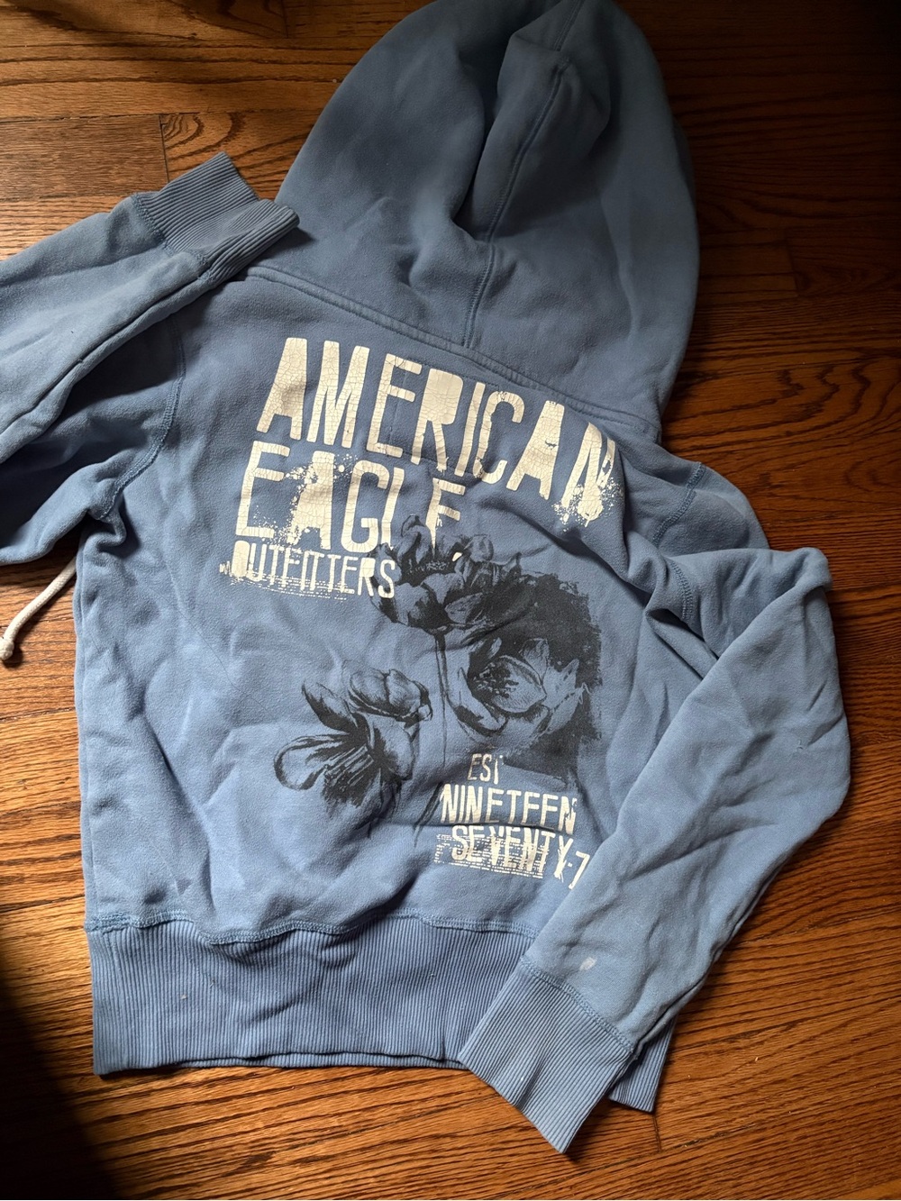 American Eagle Outfitters Light Blue Graphic Pullover Hoodie